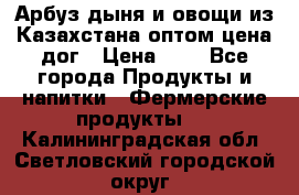 Арбуз,дыня и овощи из Казахстана оптом цена дог › Цена ­ 1 - Все города Продукты и напитки » Фермерские продукты   . Калининградская обл.,Светловский городской округ 